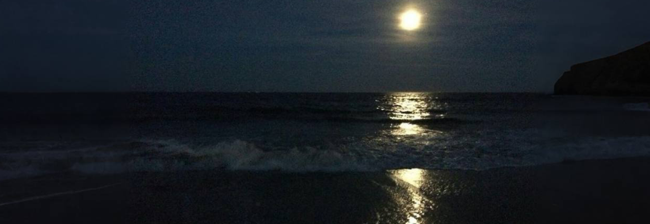 Untitled355_20250320021725