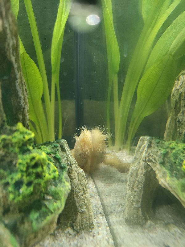 16712966299821743820084138581591