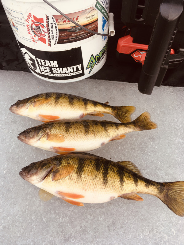 6E0E56A9-B7B5-4932-816A-348654C6F52D