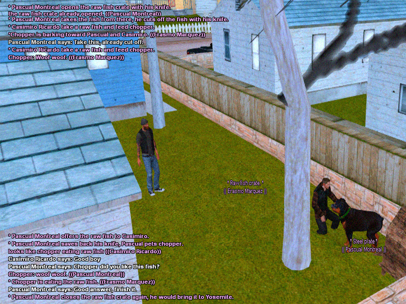RP33.png