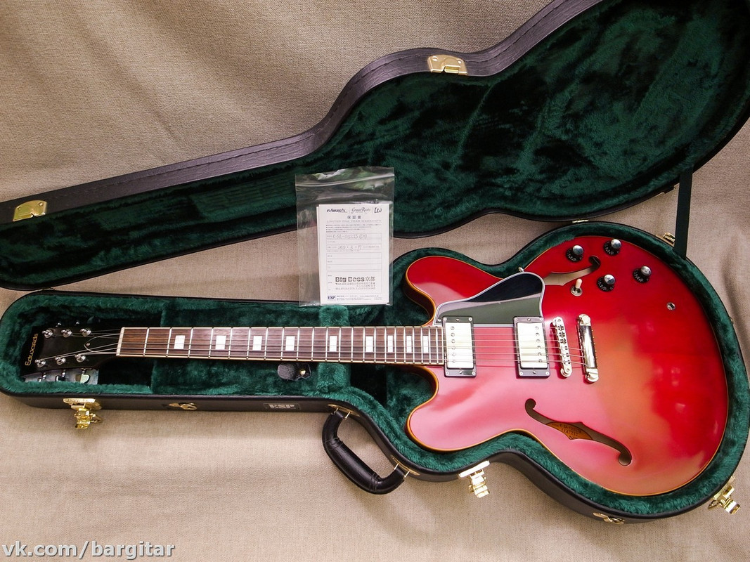 Edwards krv Custom