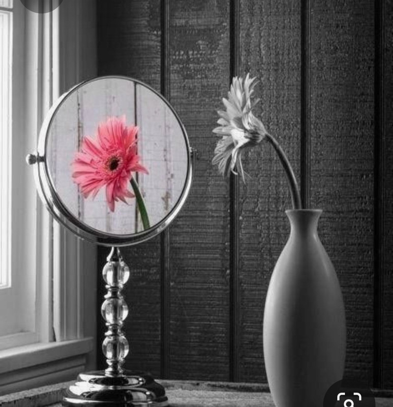 Screenshot_20230409_225138_Pinterest