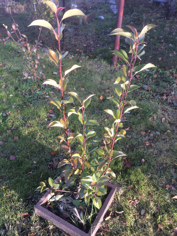 A06C8DFB-AA97-4676-B9BF-BA363282EB74