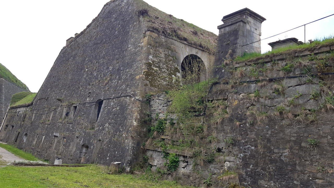 08.24c - 20230430_112904 (Barabasz)