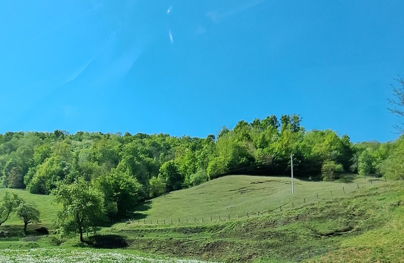Slika