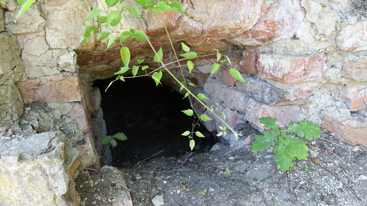 13 07 DSC03307 (Barabasz)