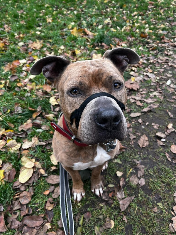 51539449-5F4F-4F50-B0F8-3729D7EE0A2D