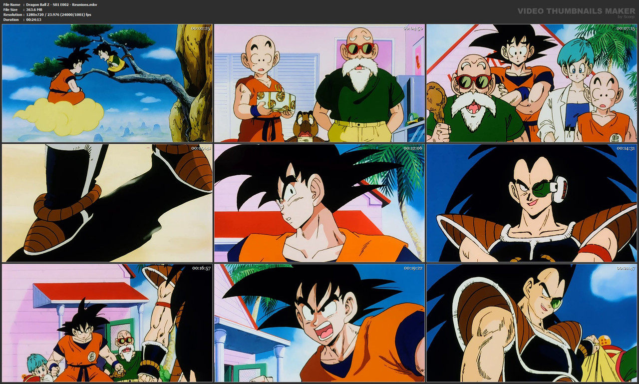Dragon Ball Z - S01 E002 - Reunions.mkv