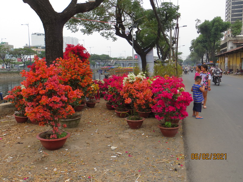 [Image: IMG-7653.jpg]