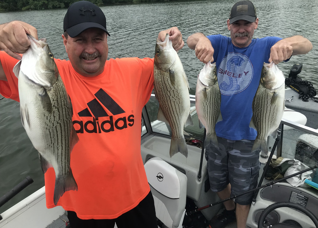 72BFE120-B39B-47CD-8F7B-A7BBCB1016F2