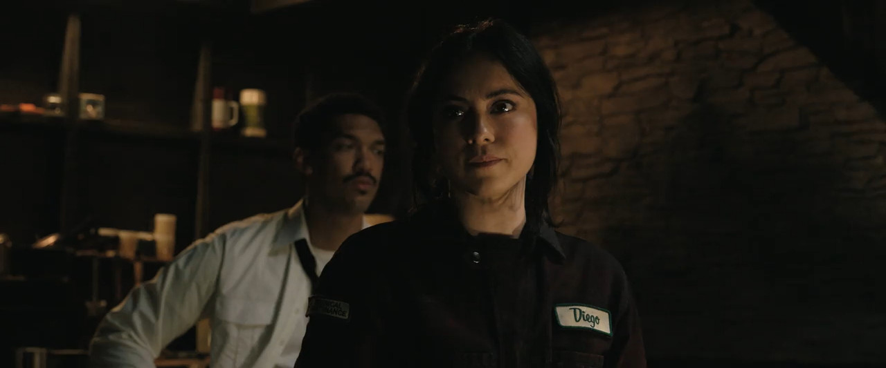 Play Dirty 2025 WebRip [Hindi + Tamil + Telugu + Malayalam + Kannada + English] 480p, 720p ESub Screenshot