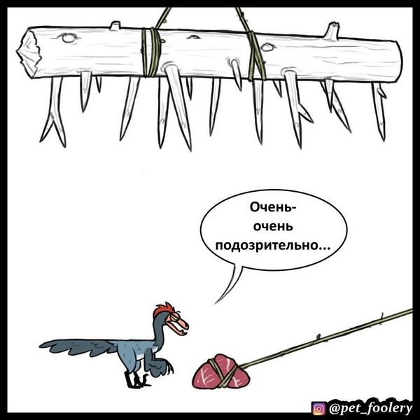 Инстинкт самосохранения устройства самосохранения ошибки самосохранения Инстинкт самосохранения устройства самосохранения ошибки самосохранения