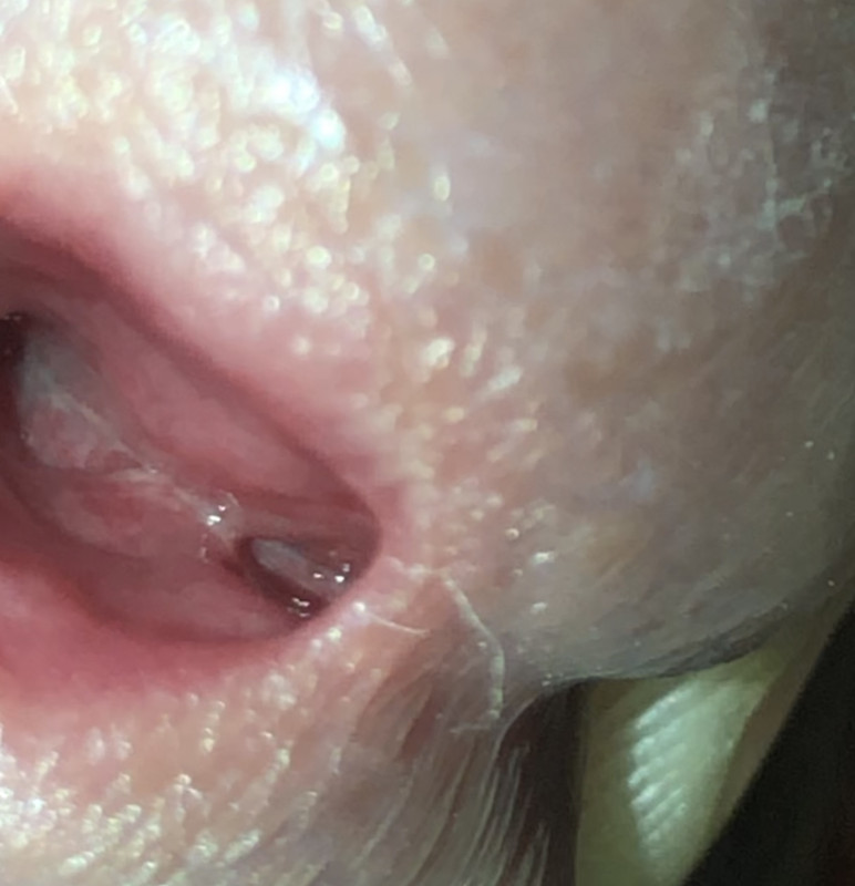 7F293AF2-C0A4-4DF5-B69A-E636FD220C48