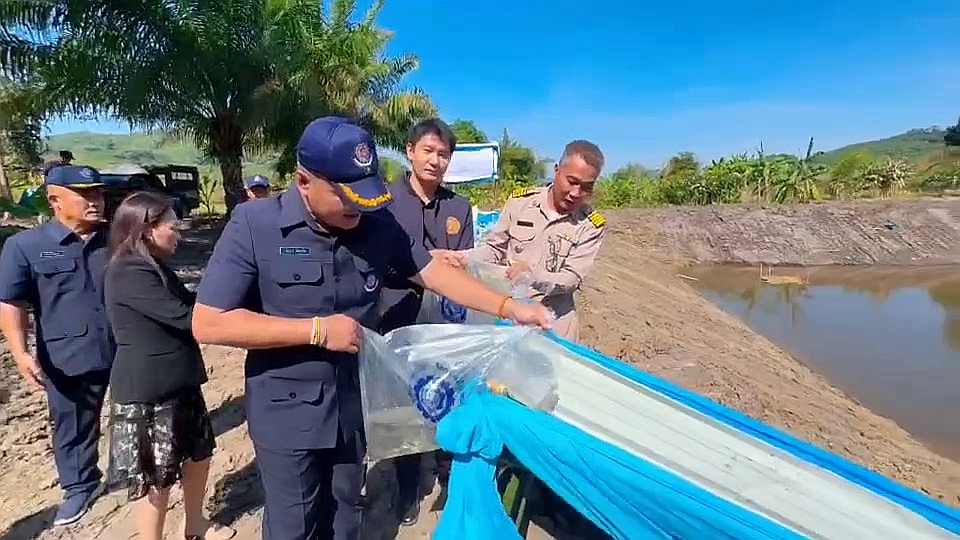 vlcsnap-2025-12-26-20h18m56s440