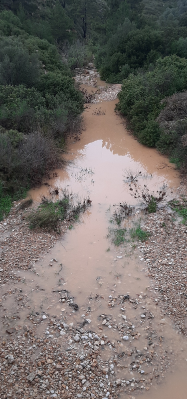 ΕΤΡΕΞΕ ΚΑΙ ΠΑΛΙ Ο ΚΑΤΡΑΡΗΣ (ΦΩΤΟ)