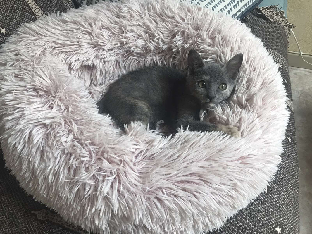 F22B4F44-4BC4-4B9E-B67F-E1AC49F8943C