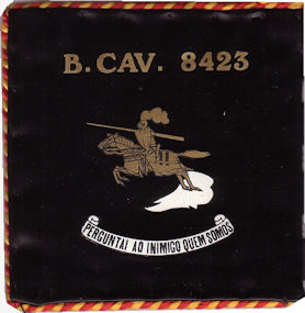 A-BCAV-8423-73-d