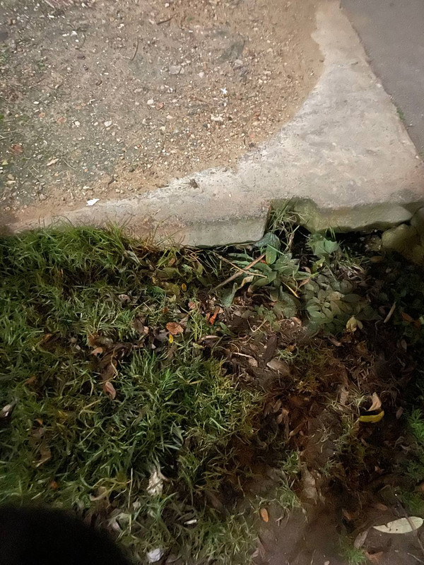 IMG 20251111 071349 194