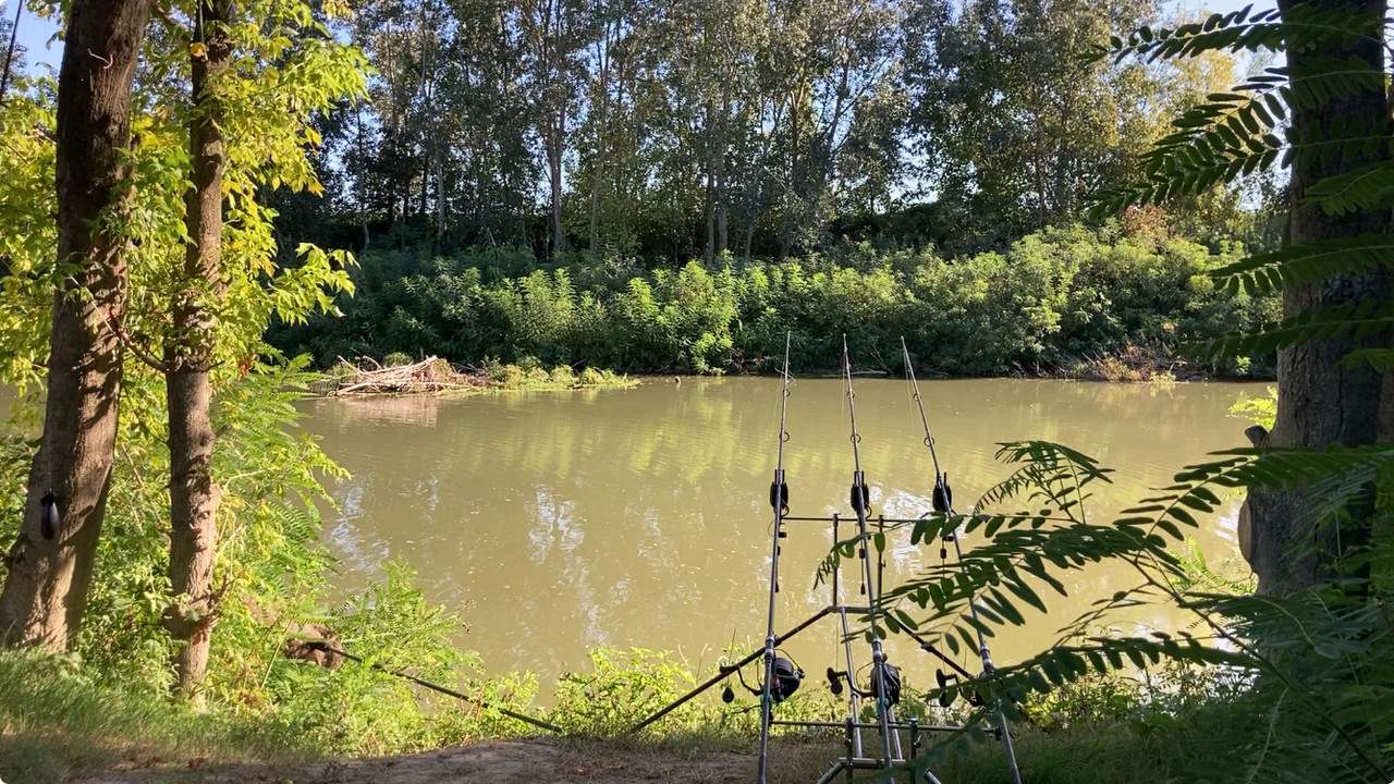 IMG 0420