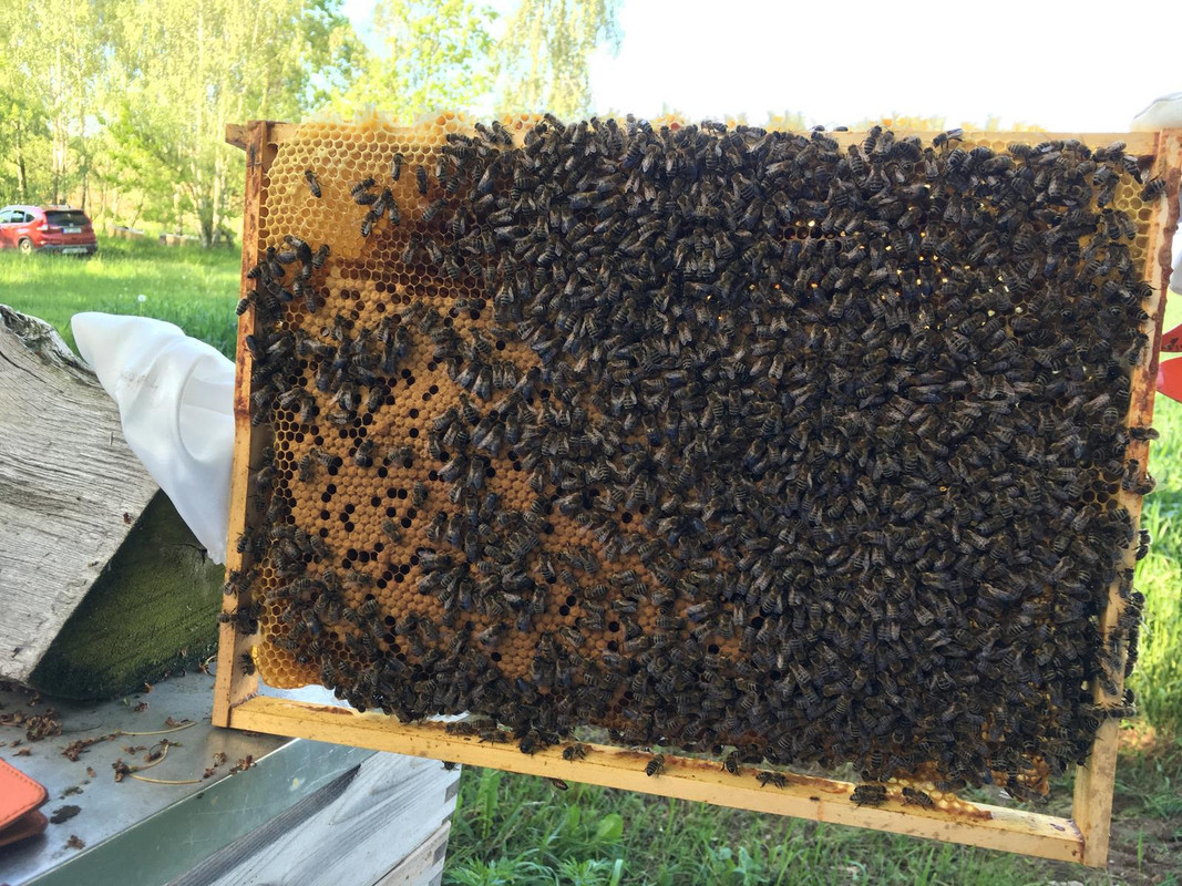 3D85E7C5-A978-4759-895D-591B42D70389