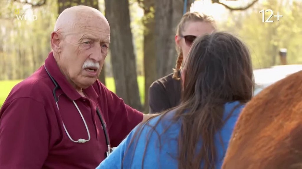 [Image: 9l2jx5hqy5ow.jpg]