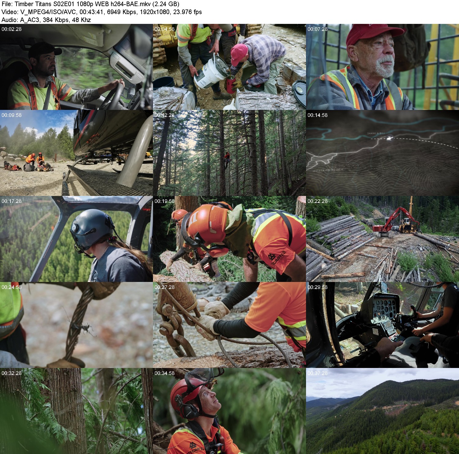 [Image: 3ga5lug7zm8m.jpg]