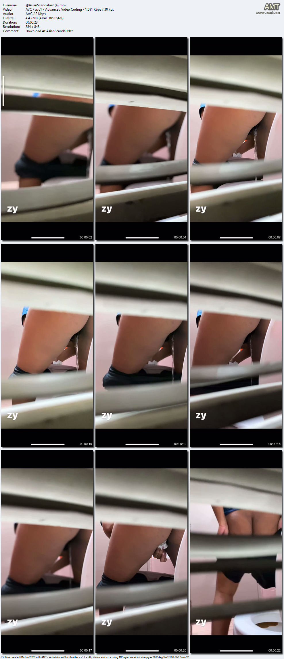 Asian-Scandalnet-(4)-mov