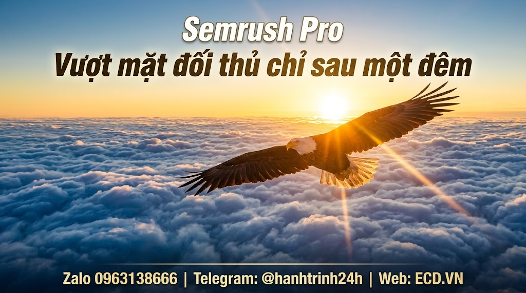 semrush pro phân tích thị trường