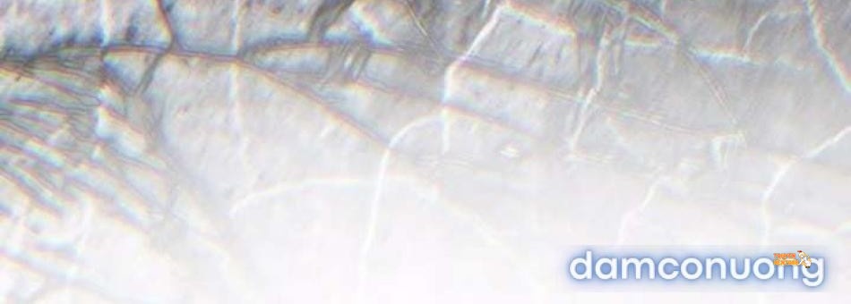 Xem ảnh tmp3jriwz0v trong truyện hentai [18+] Hai Lần Kết Hôn Với Quái Vật - Chapter 30 - hentaitvn.net