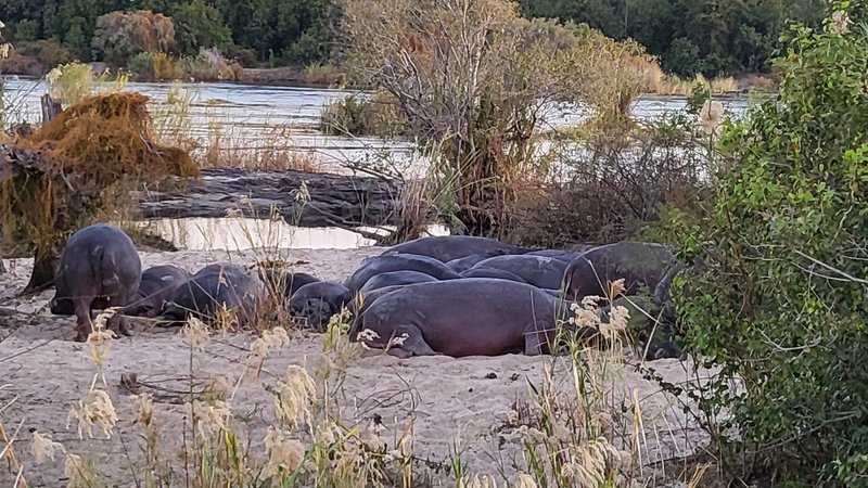 Африканские каникулы - зверики Крюгера, пески Намибии, воды Виктории
