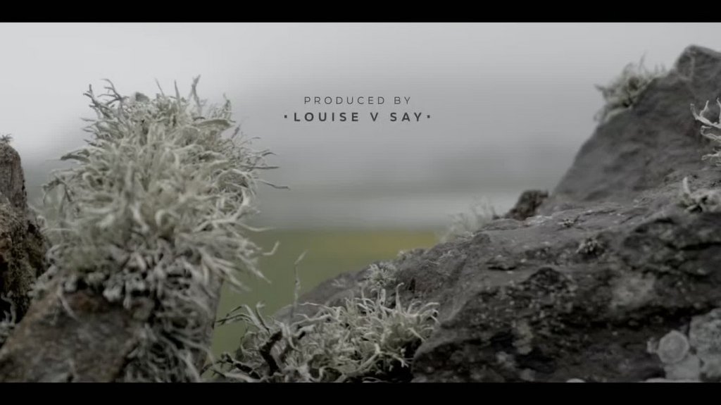 [Image: vb3g35fxgdq9.jpg]