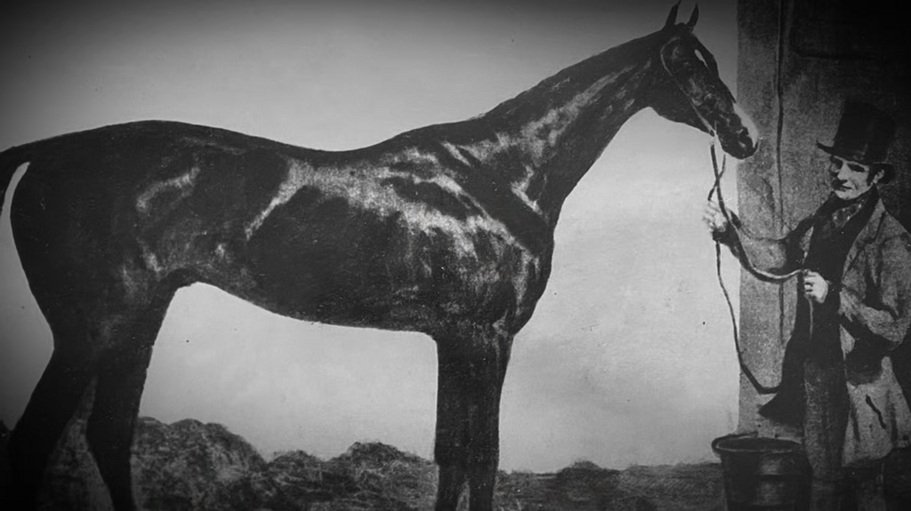 [Image: xpfz3ts97z7s.png]