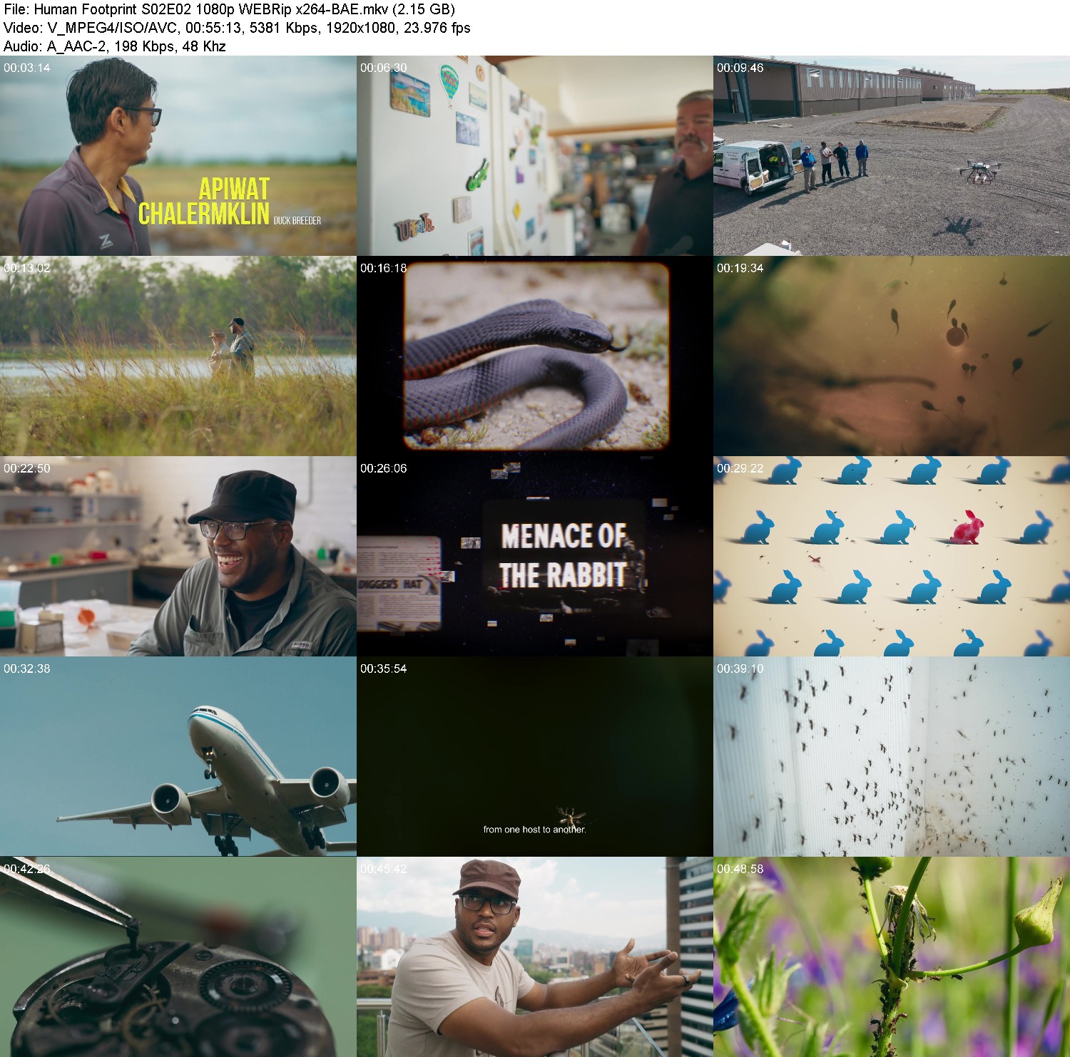 [Image: o6btfgk5y41y.jpg]