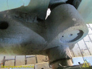 IMG-5460