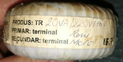 IMG-20241112-165839