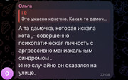 IMG-0427.jpg