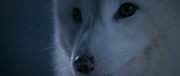 vlcsnap-2024-09-21-14h37m08s030.png