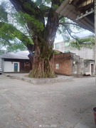 69af9baegy1i62spzqjf8j20u0140wlu