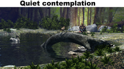 Quiet-contemplation