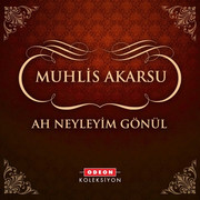Muhlis-Akarsu-Ah-Neyleyim-Gonul-2014