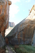 IMG-0236