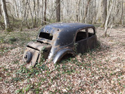 Resized-20250328-151620-2.jpg