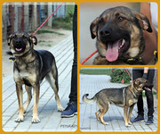 Be-Funky-collage-16.jpg&key=ba2d1cc44a5f