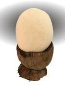 [Image: B-Que-suis-je-version-claire.jpg]