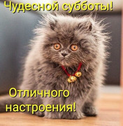 chudesnoj-subbota-otlichnogo-nastroeniya