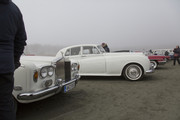 [Image: MG-8708.jpg]