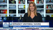 Obrazek