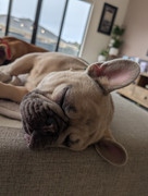 PXL-20250907-014651659