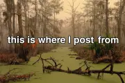 This-Is-Where-I-Post-From-012