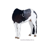 7A84B6CC-1908-42C0-A7FC-D472C50E627A